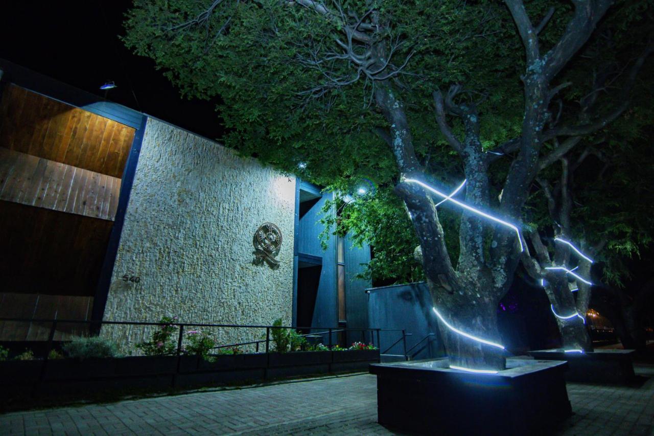 Hotel Cumbres Del Sur Pucón Extérieur photo
